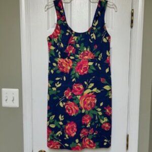 Lands End Sun Dress Women's Size Petite 6